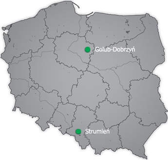 Golub-Dobrzyń, Strumień